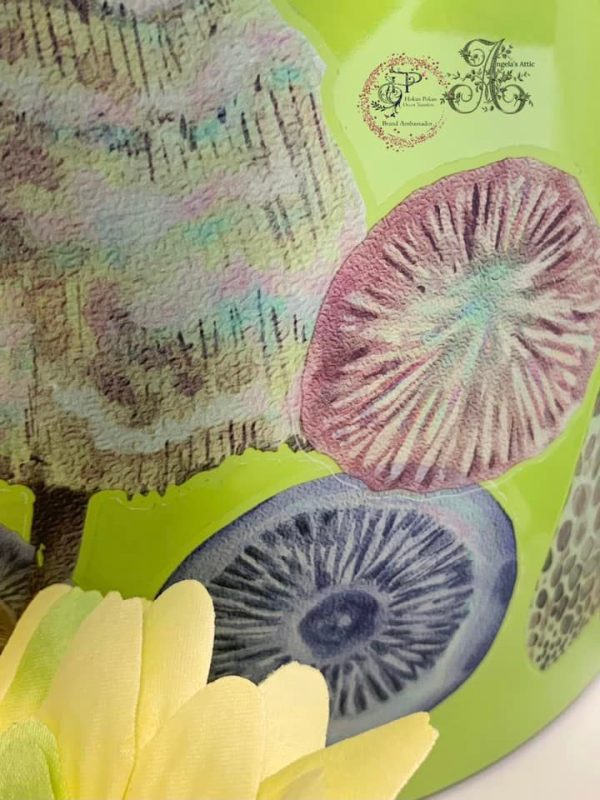 Angelas attic - Magic Mushrooms Angelas attic - Magic Mushrooms