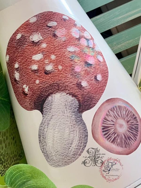 Angelas attic - Magic Mushrooms4 Angelas attic - Magic Mushrooms4