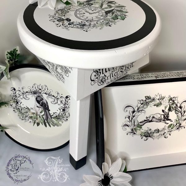 Angelas attic - Most Illustrious1 Angelas attic - Most Illustrious1