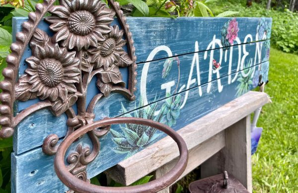 Angelas attic - Sheillam Succulants Angelas attic - Sheillam Succulants