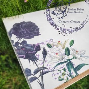 Ohana Design Space – Midnight Garden1