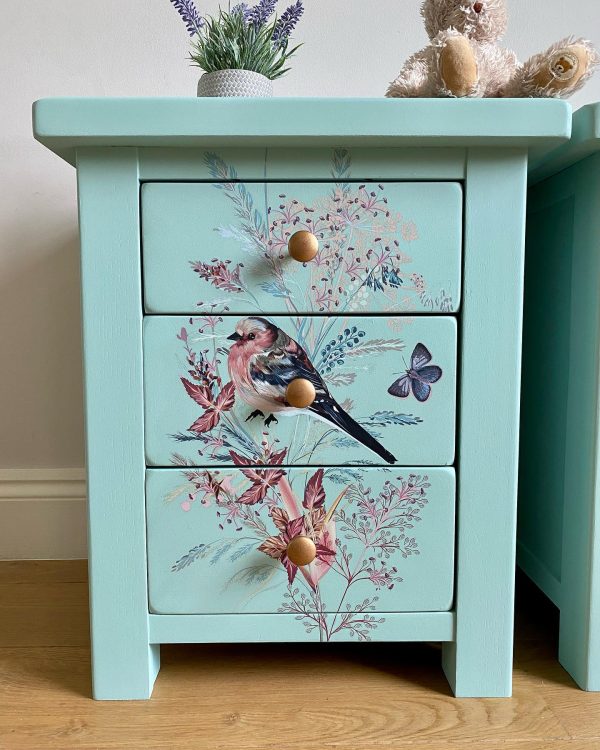 Oiseau Rose Oiseau Rose