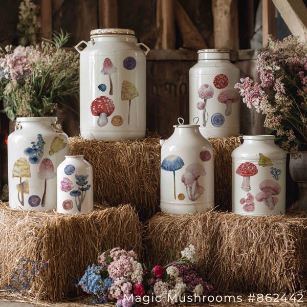 magic-mushrooms-(1) magic-mushrooms-(1)