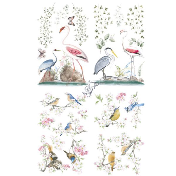 862541---Birds-of-Paradise---Large-Transfer-