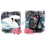 862657---By-the-Lake---Large-Transfer-