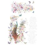 863227 - Bellissimo - Large Transfer 6 Sheet