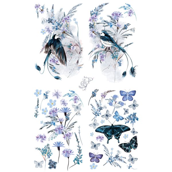 949859---Oiseau-Blue---Large-Transfer- 949859---Oiseau-Blue---Large-Transfer-