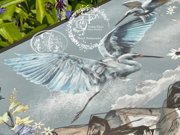 Angelas attic - A Birds View Angelas attic - A Birds View