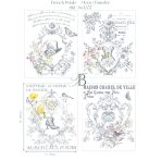 863357---French-Petals-Mezzo-Transfer-(F-&-B)-WEB1