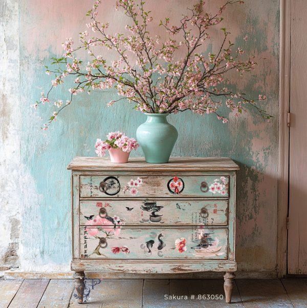 sakura-(1) sakura-(1)